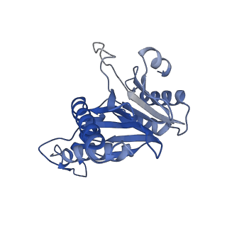 20881_6utj_d_v1-1
Allosteric couple between alpha rings of the 20S proteasome. 20S proteasome singly capped by PA26/E102A, C-terminus replaced by PAN C-terminus