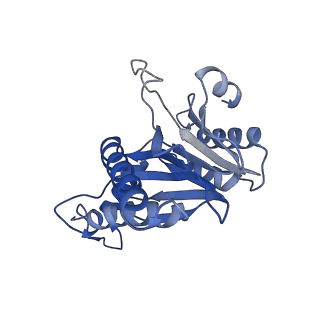 20881_6utj_d_v1-2
Allosteric couple between alpha rings of the 20S proteasome. 20S proteasome singly capped by PA26/E102A, C-terminus replaced by PAN C-terminus