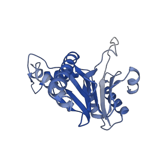 20881_6utj_e_v1-2
Allosteric couple between alpha rings of the 20S proteasome. 20S proteasome singly capped by PA26/E102A, C-terminus replaced by PAN C-terminus