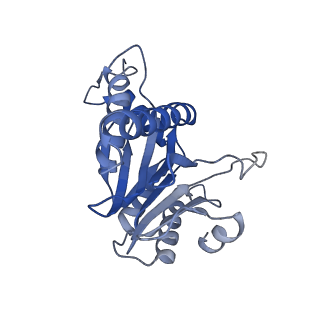 20881_6utj_f_v1-1
Allosteric couple between alpha rings of the 20S proteasome. 20S proteasome singly capped by PA26/E102A, C-terminus replaced by PAN C-terminus