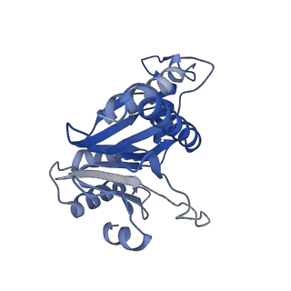 20881_6utj_g_v1-1
Allosteric couple between alpha rings of the 20S proteasome. 20S proteasome singly capped by PA26/E102A, C-terminus replaced by PAN C-terminus