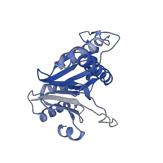 20881_6utj_g_v1-2
Allosteric couple between alpha rings of the 20S proteasome. 20S proteasome singly capped by PA26/E102A, C-terminus replaced by PAN C-terminus