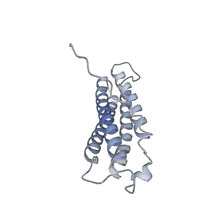 26772_7utj_Z_v1-1
Cryogenic electron microscopy 3D map of F-actin bound by human dimeric alpha-catenin