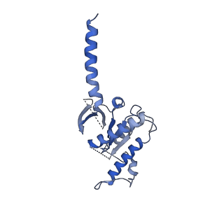 20883_6uun_A_v1-1
CryoEM Structure of the active Adrenomedullin 1 receptor G protein complex with adrenomedullin peptide