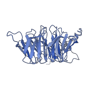 20883_6uun_B_v1-1
CryoEM Structure of the active Adrenomedullin 1 receptor G protein complex with adrenomedullin peptide