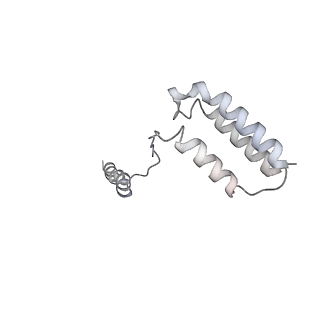 20883_6uun_E_v1-1
CryoEM Structure of the active Adrenomedullin 1 receptor G protein complex with adrenomedullin peptide