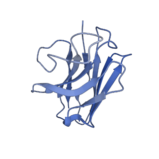 20883_6uun_N_v1-1
CryoEM Structure of the active Adrenomedullin 1 receptor G protein complex with adrenomedullin peptide