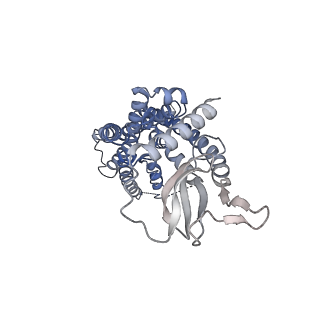 20883_6uun_R_v1-1
CryoEM Structure of the active Adrenomedullin 1 receptor G protein complex with adrenomedullin peptide