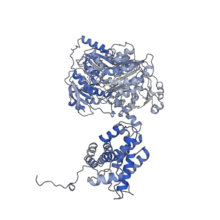 20902_6uuw_A_v1-2
Structure of human ATP citrate lyase E599Q mutant in complex with Mg2+, citrate, ATP and CoA