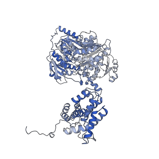 20902_6uuw_A_v2-0
Structure of human ATP citrate lyase E599Q mutant in complex with Mg2+, citrate, ATP and CoA