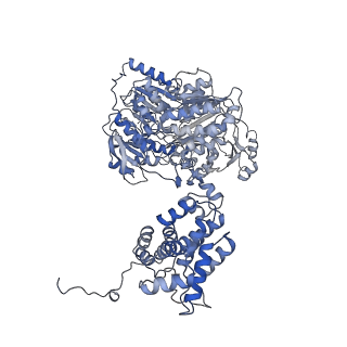 20902_6uuw_A_v3-0
Structure of human ATP citrate lyase E599Q mutant in complex with Mg2+, citrate, ATP and CoA