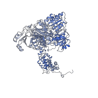 20902_6uuw_B_v1-2
Structure of human ATP citrate lyase E599Q mutant in complex with Mg2+, citrate, ATP and CoA