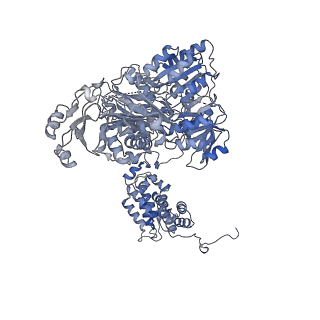 20902_6uuw_B_v2-0
Structure of human ATP citrate lyase E599Q mutant in complex with Mg2+, citrate, ATP and CoA