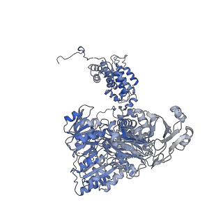 20902_6uuw_C_v1-2
Structure of human ATP citrate lyase E599Q mutant in complex with Mg2+, citrate, ATP and CoA
