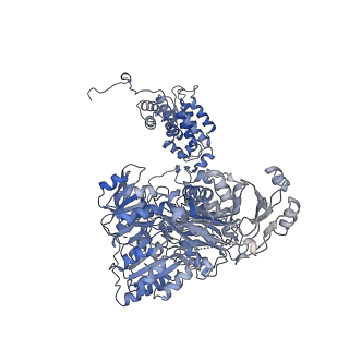 20902_6uuw_C_v2-0
Structure of human ATP citrate lyase E599Q mutant in complex with Mg2+, citrate, ATP and CoA