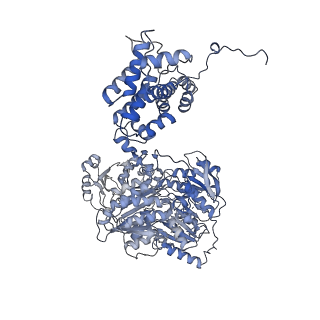 20902_6uuw_D_v1-2
Structure of human ATP citrate lyase E599Q mutant in complex with Mg2+, citrate, ATP and CoA