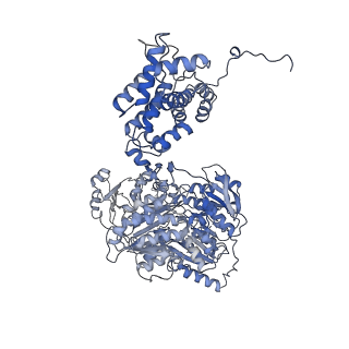 20902_6uuw_D_v2-0
Structure of human ATP citrate lyase E599Q mutant in complex with Mg2+, citrate, ATP and CoA