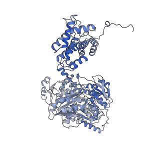 20902_6uuw_D_v3-0
Structure of human ATP citrate lyase E599Q mutant in complex with Mg2+, citrate, ATP and CoA
