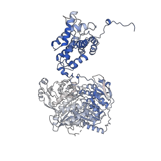20903_6uuz_A_v1-2
Structure of ACLY in the presence of citrate and CoA
