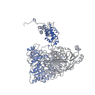 20903_6uuz_B_v1-3
Structure of ACLY in the presence of citrate and CoA