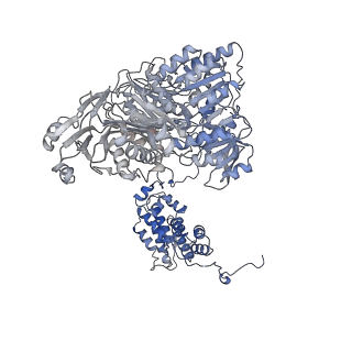 20903_6uuz_C_v1-2
Structure of ACLY in the presence of citrate and CoA