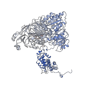 20903_6uuz_C_v1-3
Structure of ACLY in the presence of citrate and CoA