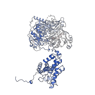 20903_6uuz_D_v1-3
Structure of ACLY in the presence of citrate and CoA