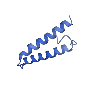 42554_8uu4_1_v1-1
Cryo-EM structure of the Listeria innocua 70S ribosome in complex with HPF (structure I-A)