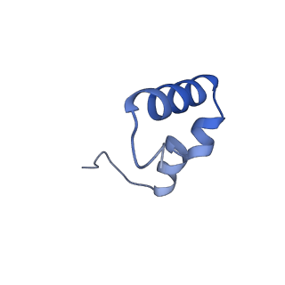 42554_8uu4_6_v1-1
Cryo-EM structure of the Listeria innocua 70S ribosome in complex with HPF (structure I-A)