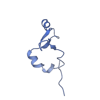 42554_8uu4_7_v1-1
Cryo-EM structure of the Listeria innocua 70S ribosome in complex with HPF (structure I-A)