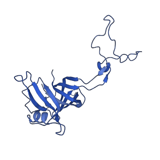 42554_8uu4_D_v1-1
Cryo-EM structure of the Listeria innocua 70S ribosome in complex with HPF (structure I-A)