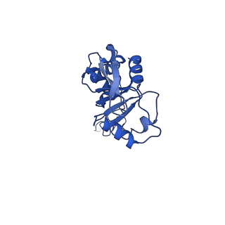 42554_8uu4_E_v1-1
Cryo-EM structure of the Listeria innocua 70S ribosome in complex with HPF (structure I-A)