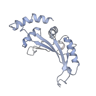 42554_8uu4_F_v1-1
Cryo-EM structure of the Listeria innocua 70S ribosome in complex with HPF (structure I-A)