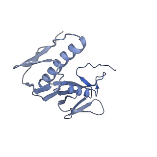 42554_8uu4_G_v1-1
Cryo-EM structure of the Listeria innocua 70S ribosome in complex with HPF (structure I-A)