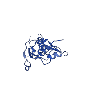 42554_8uu4_L_v1-1
Cryo-EM structure of the Listeria innocua 70S ribosome in complex with HPF (structure I-A)