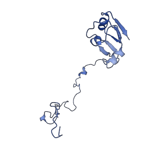 42554_8uu4_N_v1-1
Cryo-EM structure of the Listeria innocua 70S ribosome in complex with HPF (structure I-A)