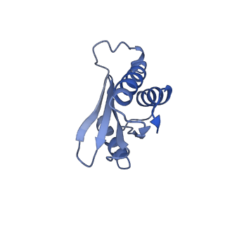 42554_8uu4_Q_v1-1
Cryo-EM structure of the Listeria innocua 70S ribosome in complex with HPF (structure I-A)