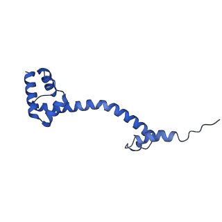 42554_8uu4_S_v1-1
Cryo-EM structure of the Listeria innocua 70S ribosome in complex with HPF (structure I-A)