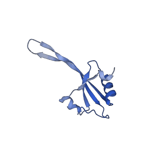 42554_8uu4_V_v1-1
Cryo-EM structure of the Listeria innocua 70S ribosome in complex with HPF (structure I-A)