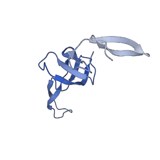 42554_8uu4_W_v1-1
Cryo-EM structure of the Listeria innocua 70S ribosome in complex with HPF (structure I-A)