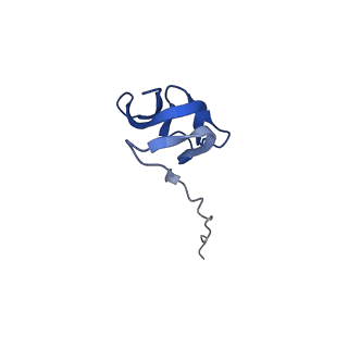 42554_8uu4_Y_v1-1
Cryo-EM structure of the Listeria innocua 70S ribosome in complex with HPF (structure I-A)