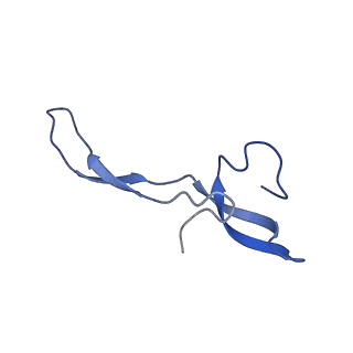 42554_8uu4_Z_v1-1
Cryo-EM structure of the Listeria innocua 70S ribosome in complex with HPF (structure I-A)