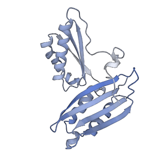 42554_8uu4_c_v1-1
Cryo-EM structure of the Listeria innocua 70S ribosome in complex with HPF (structure I-A)