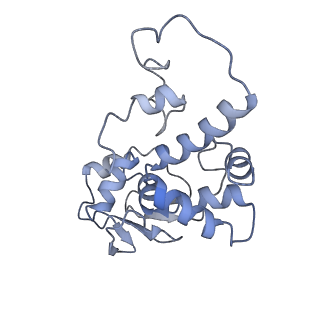 42554_8uu4_d_v1-1
Cryo-EM structure of the Listeria innocua 70S ribosome in complex with HPF (structure I-A)