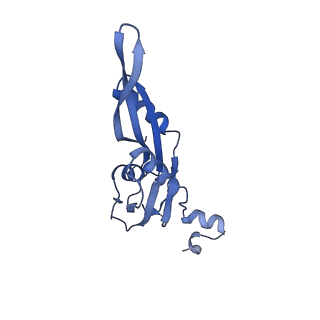42554_8uu4_e_v1-1
Cryo-EM structure of the Listeria innocua 70S ribosome in complex with HPF (structure I-A)