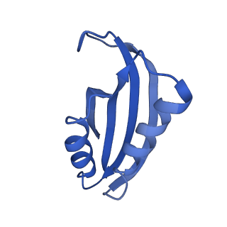 42554_8uu4_f_v1-1
Cryo-EM structure of the Listeria innocua 70S ribosome in complex with HPF (structure I-A)