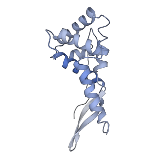 42554_8uu4_g_v1-1
Cryo-EM structure of the Listeria innocua 70S ribosome in complex with HPF (structure I-A)