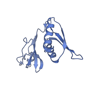 42554_8uu4_h_v1-1
Cryo-EM structure of the Listeria innocua 70S ribosome in complex with HPF (structure I-A)