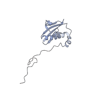 42554_8uu4_i_v1-1
Cryo-EM structure of the Listeria innocua 70S ribosome in complex with HPF (structure I-A)