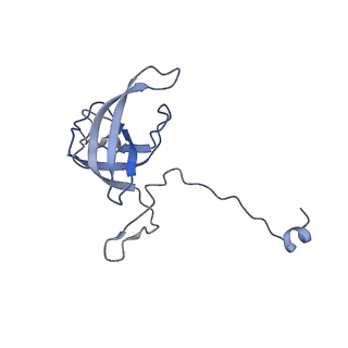 42554_8uu4_l_v1-1
Cryo-EM structure of the Listeria innocua 70S ribosome in complex with HPF (structure I-A)